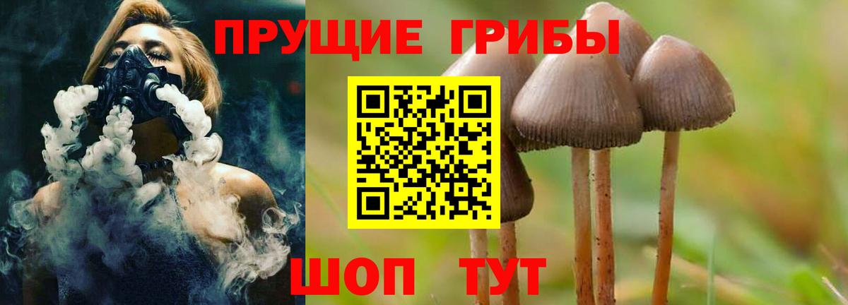 Галлюциногенные грибы Psilocybine cubensis  Галлюциногенные грибы Cubensis  Вход с VPN  Щёкино 