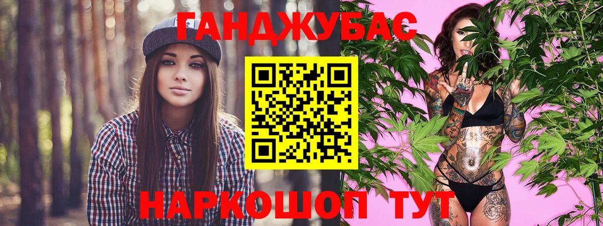 Конопля гибрид Щёкино